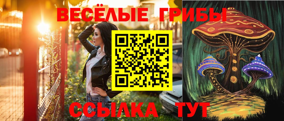 Шали  Псилоцибиновые грибы GOLDEN TEACHER  Вход с VPN 