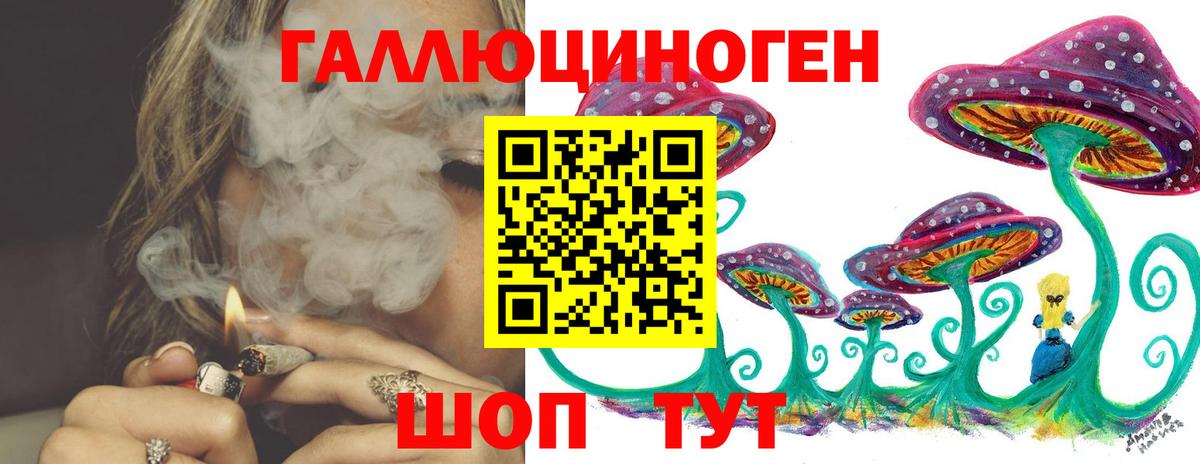 Псилоцибиновые грибы Psilocybine cubensis Шали